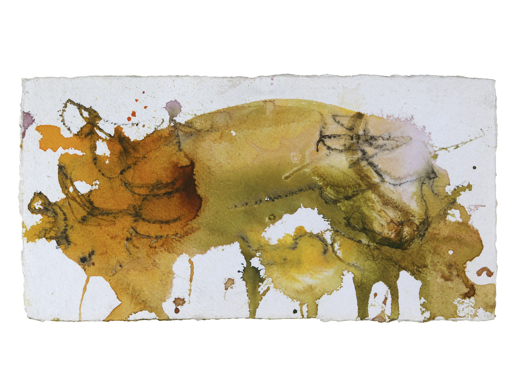 Pig, 2015, Mixed Media auf Büttenpapier, 30.0 × 15.0 cm