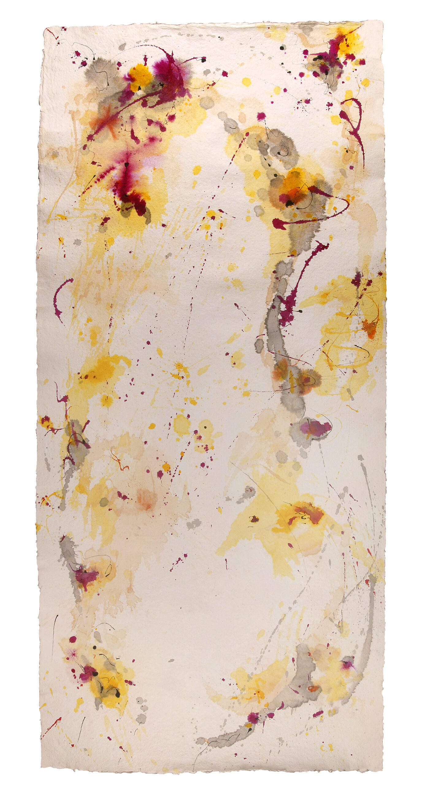 Fly 2, 2017, Mixed Media auf Büttenpapier, 100.0 × 210.0 cm