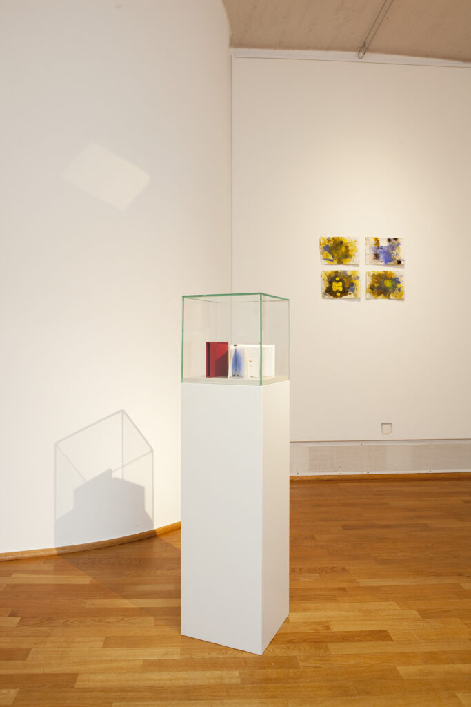 im Raum: Strong in Hope, 2017